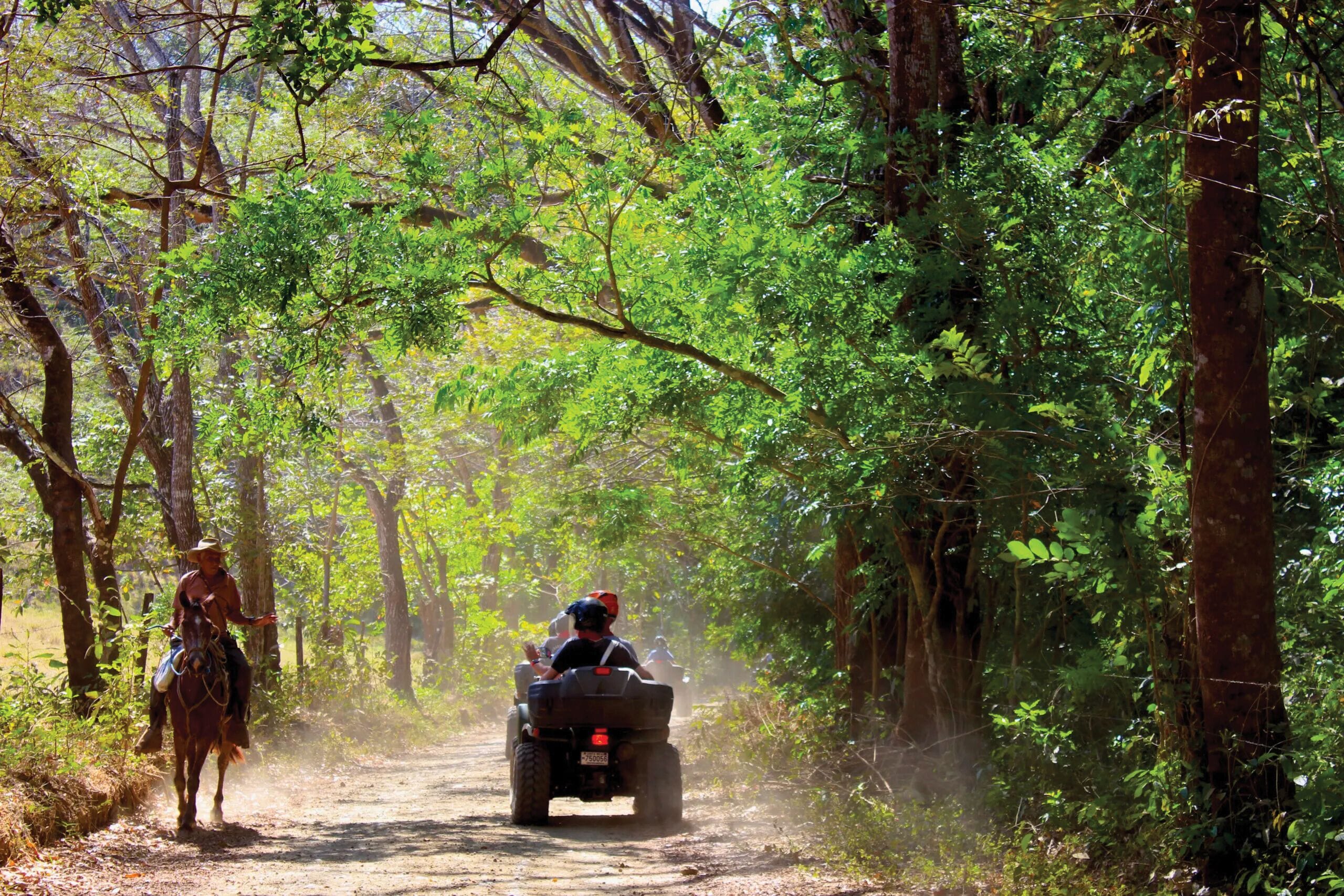 A dirt path in a forested area with a horse and an ATV.