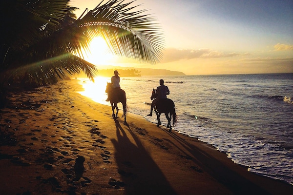 Paseos a caballo