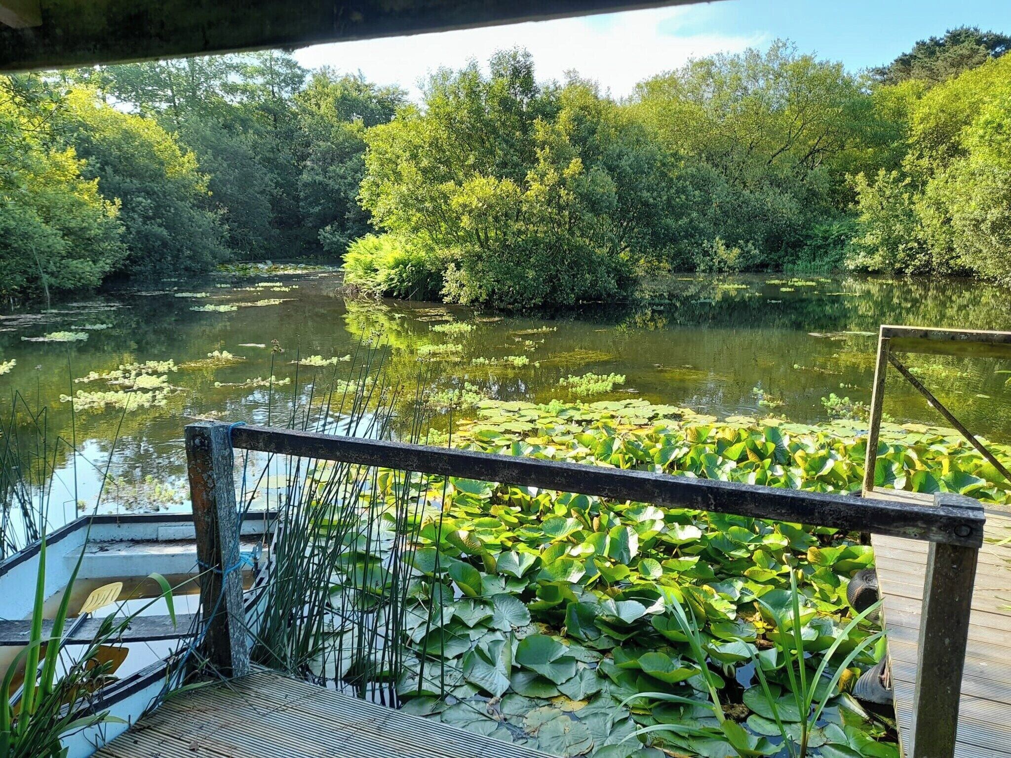 المنطقة المحيطة بالمنشأة