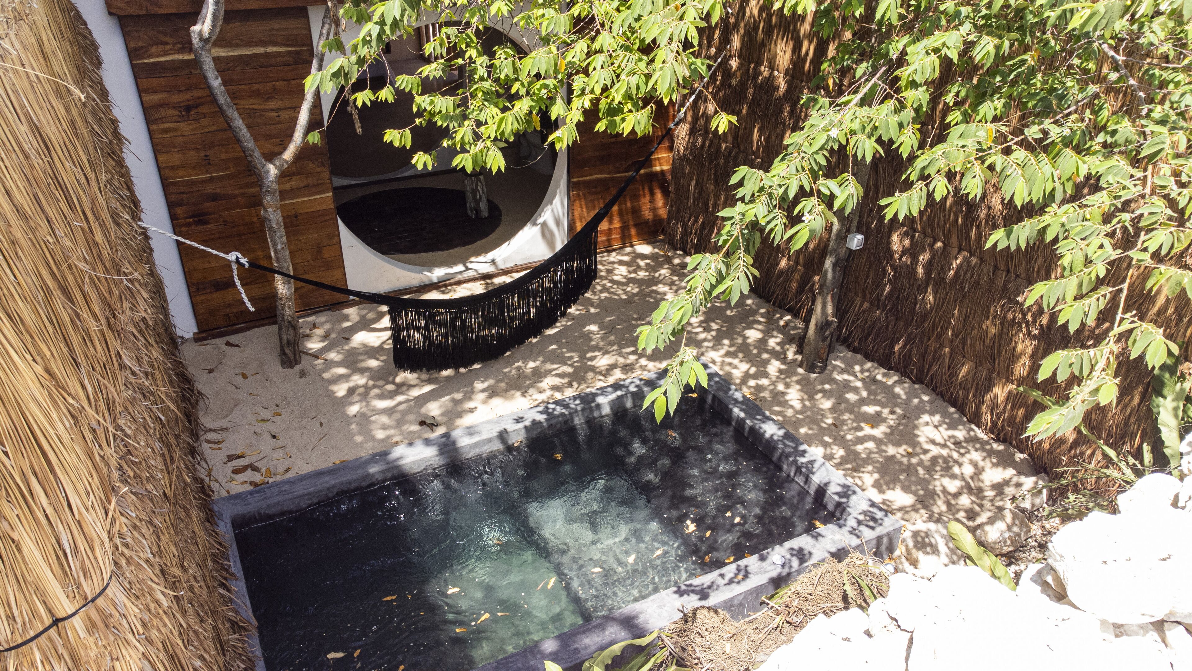 Foto - Zenote Sanctuary