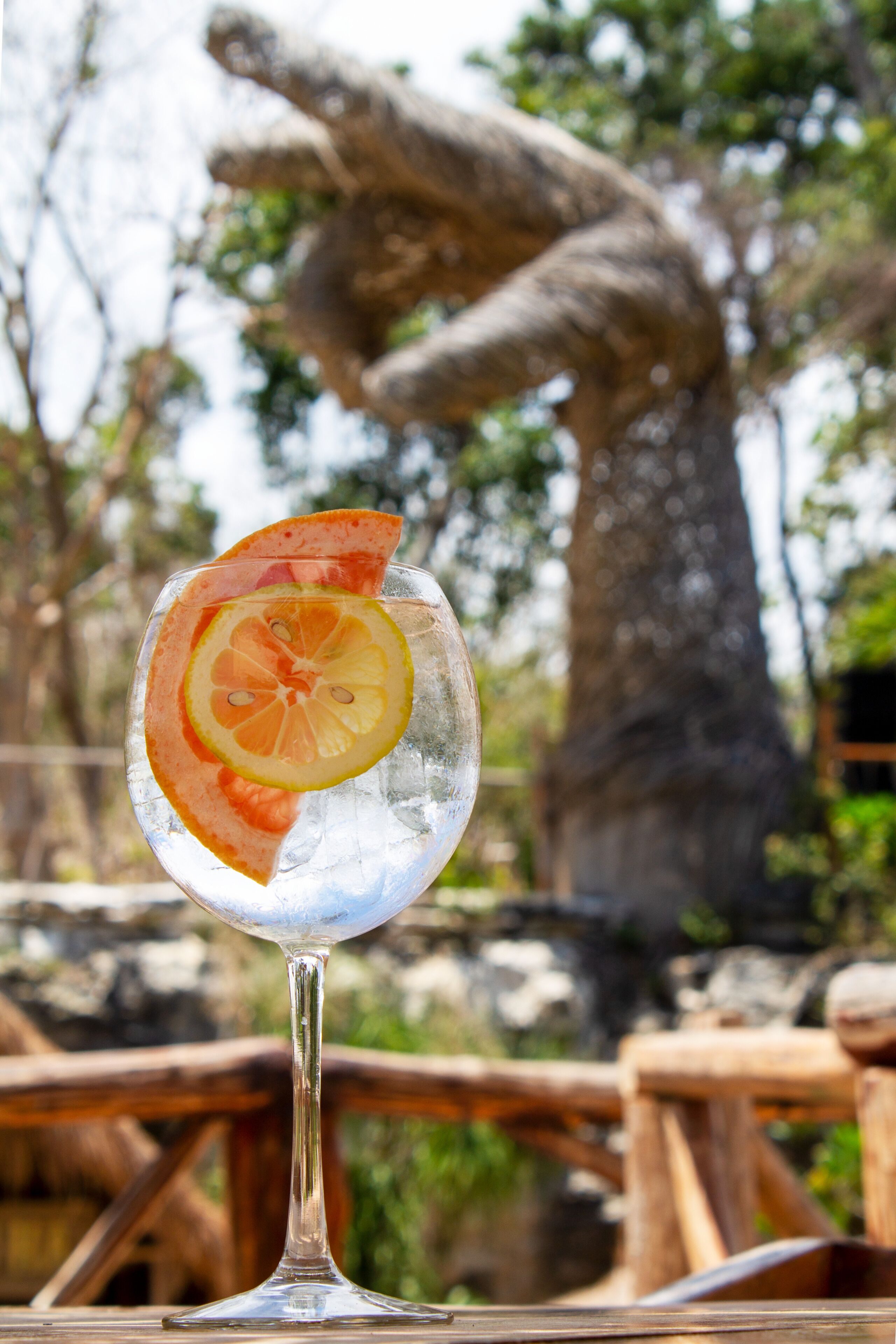 Foto - Zenote Sanctuary