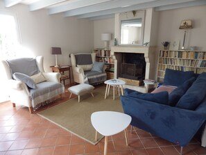 Smart TV, fireplace, DVD player, books
