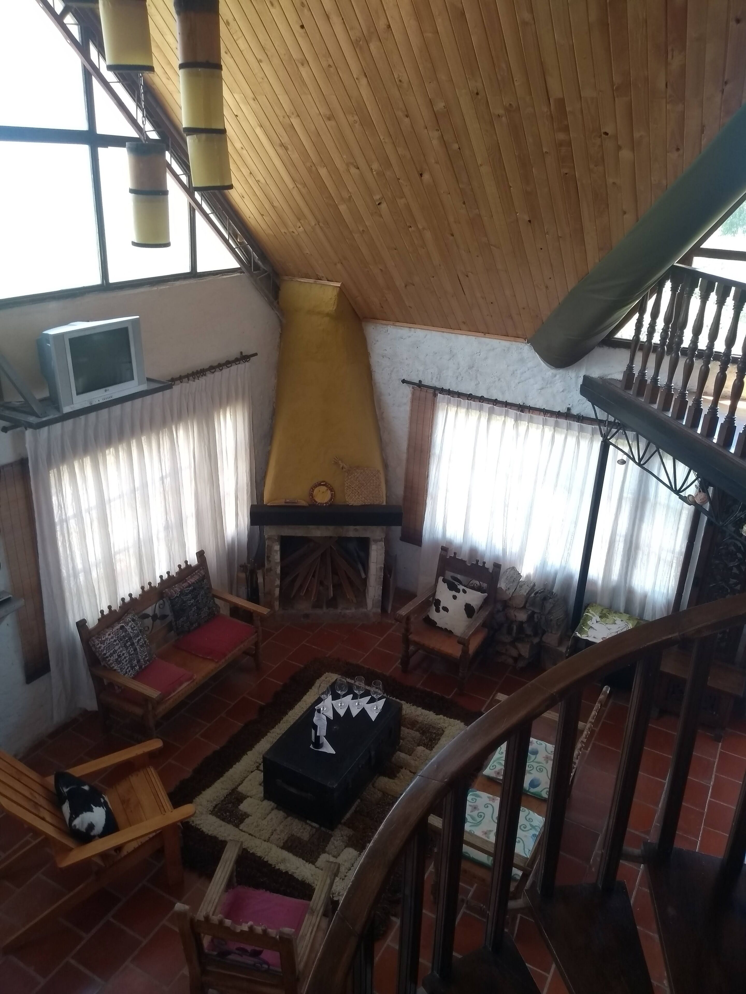 電視、壁爐、DVD 播放機、書籍