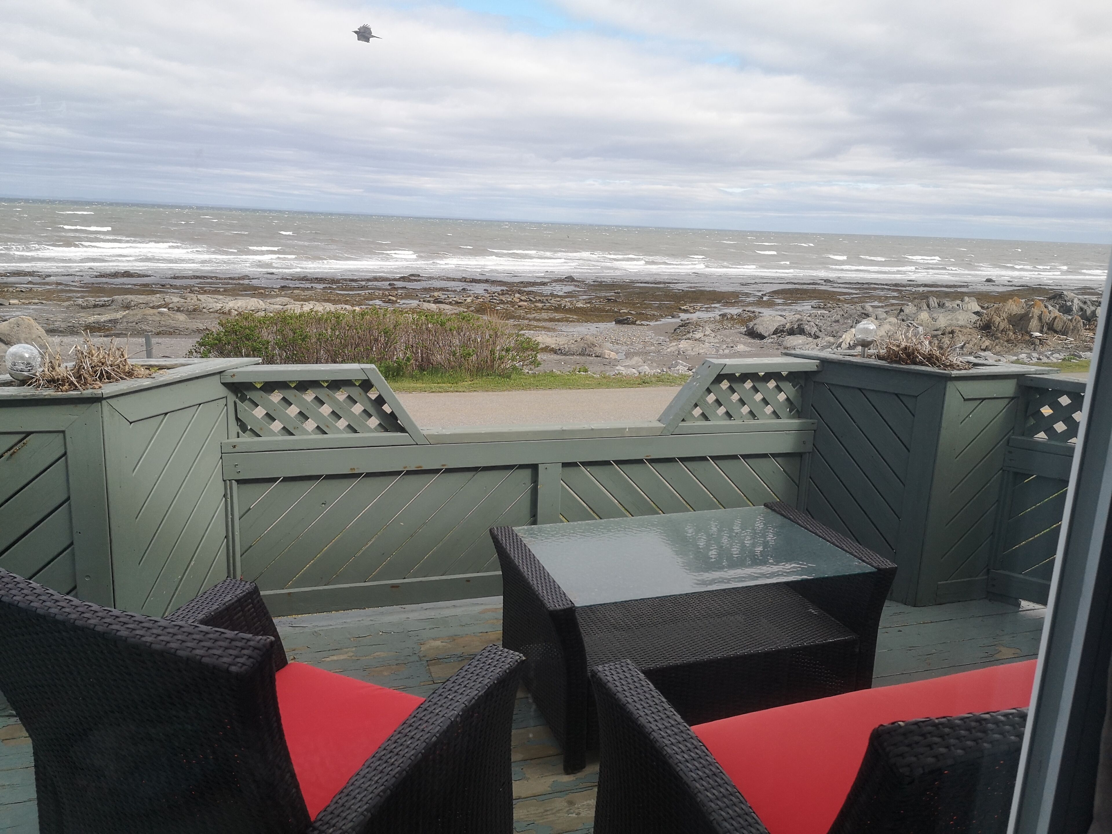 Premium Suite | Terrace/patio