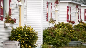A row of white houses with red shutters and flower boxes. - Les Cabines du Phare (Rimouski)