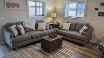 Smart TV, fireplace, books