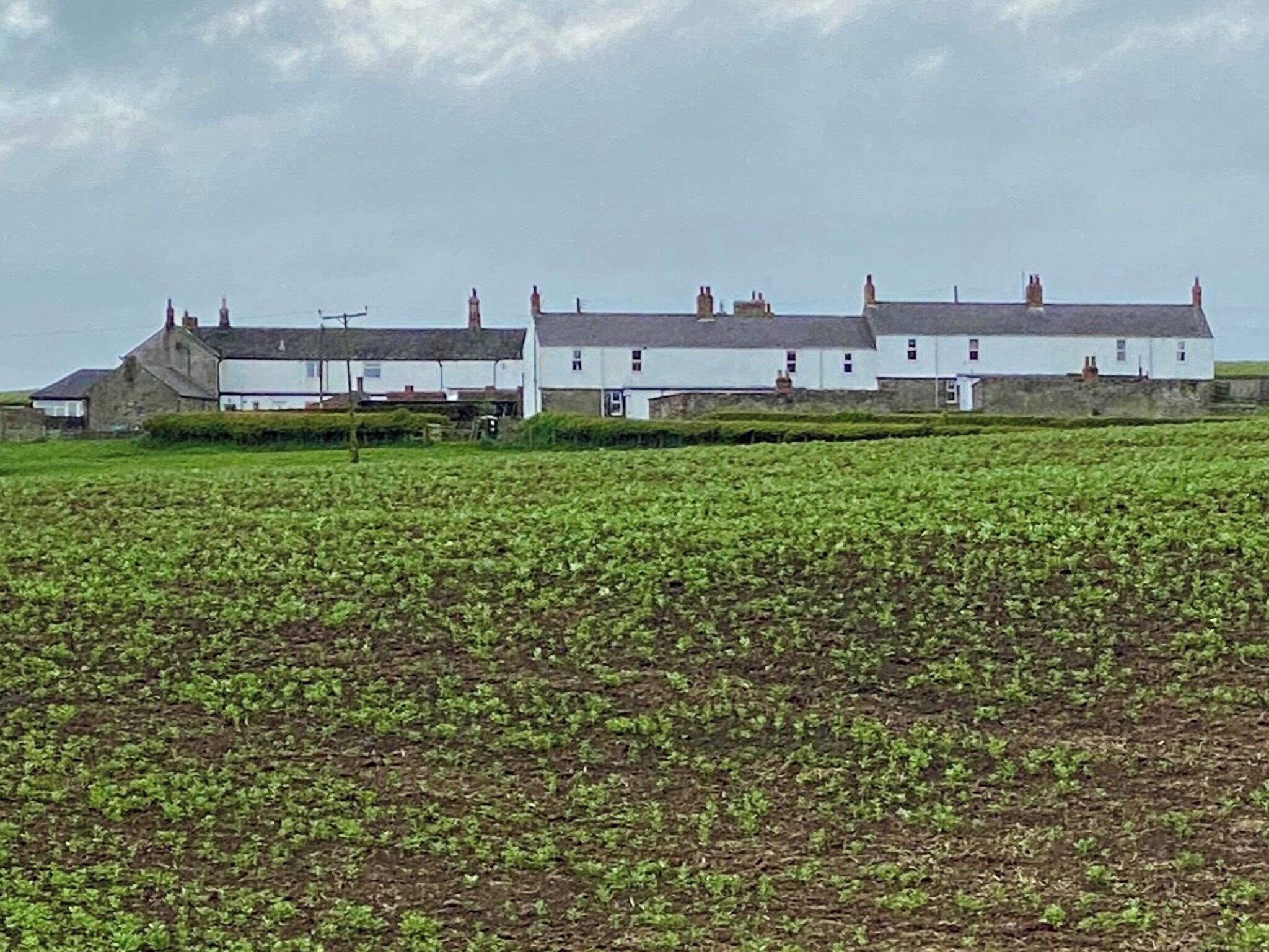 A large white building with multiple chimneys, surrounded by a green field.