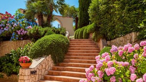A staircase surrounded by lush greenery and flowering plants.