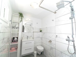Douche, séchoir à cheveux, serviettes fournies