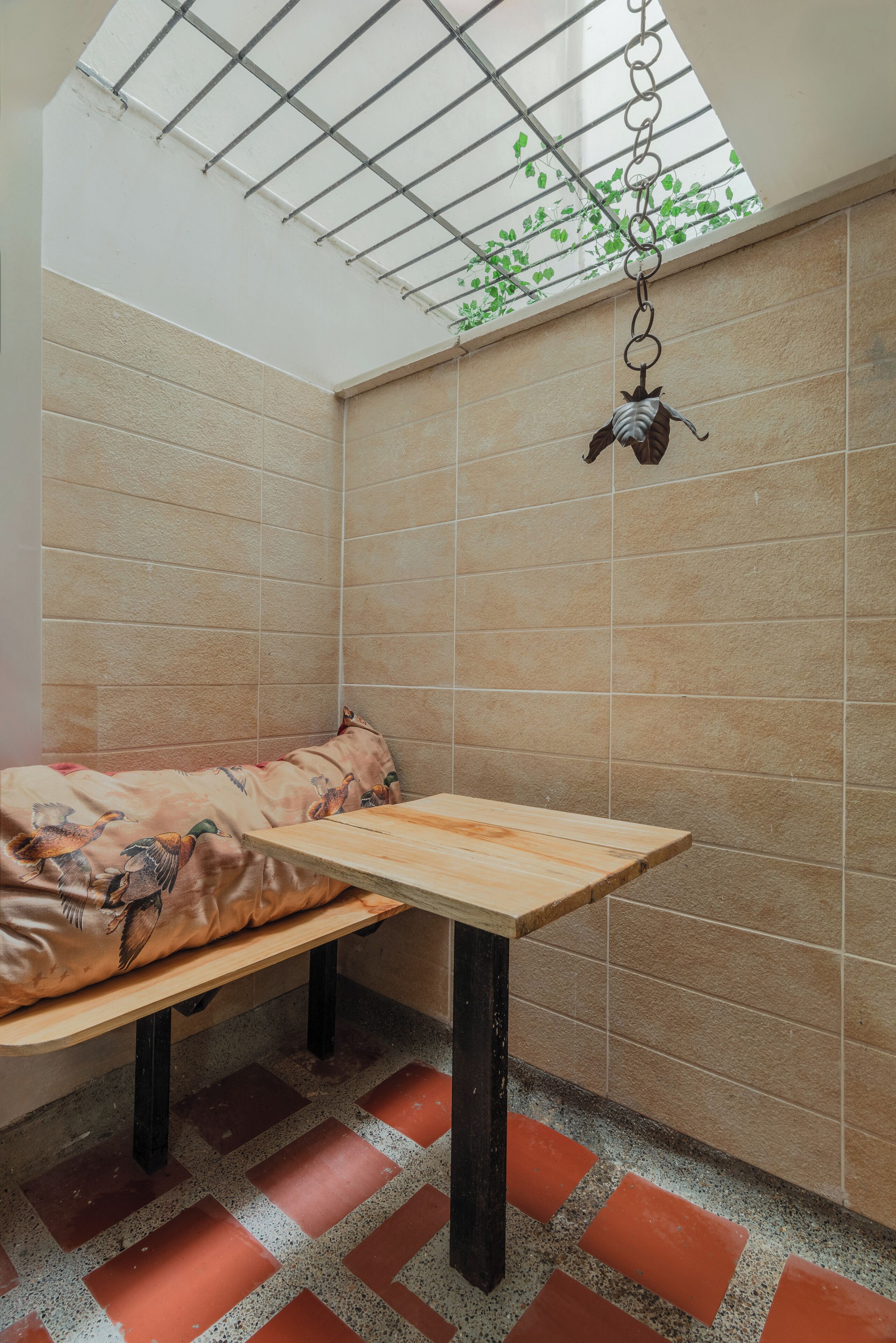 Foto - Casa Los Naranjos Hostal