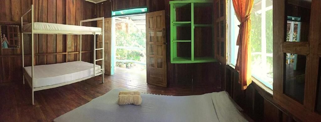 Une pièce en bois avec un lit superposé, une fenêtre à cadre vert et une vue sur l’extérieur.