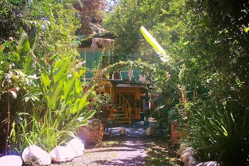 Madre Selva Jungle Hostel