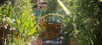 Madre Selva Jungle Hostel