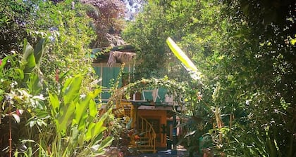 Madre Selva Jungle Hostel