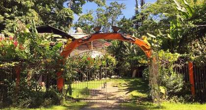 Madre Selva Jungle Hostel