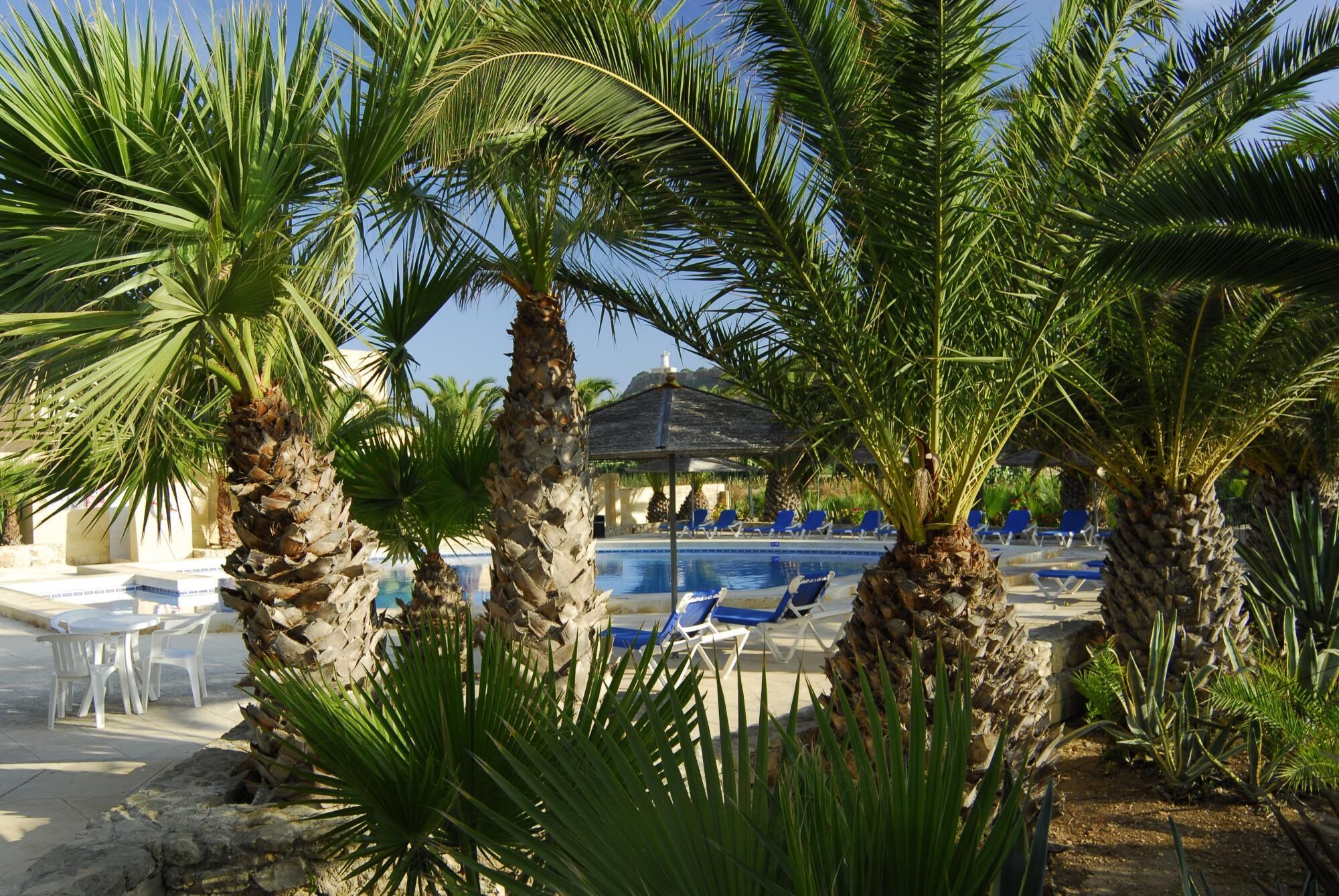 Foto - Ta Frenc Apartments