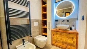 Shower, hair dryer, toilet paper