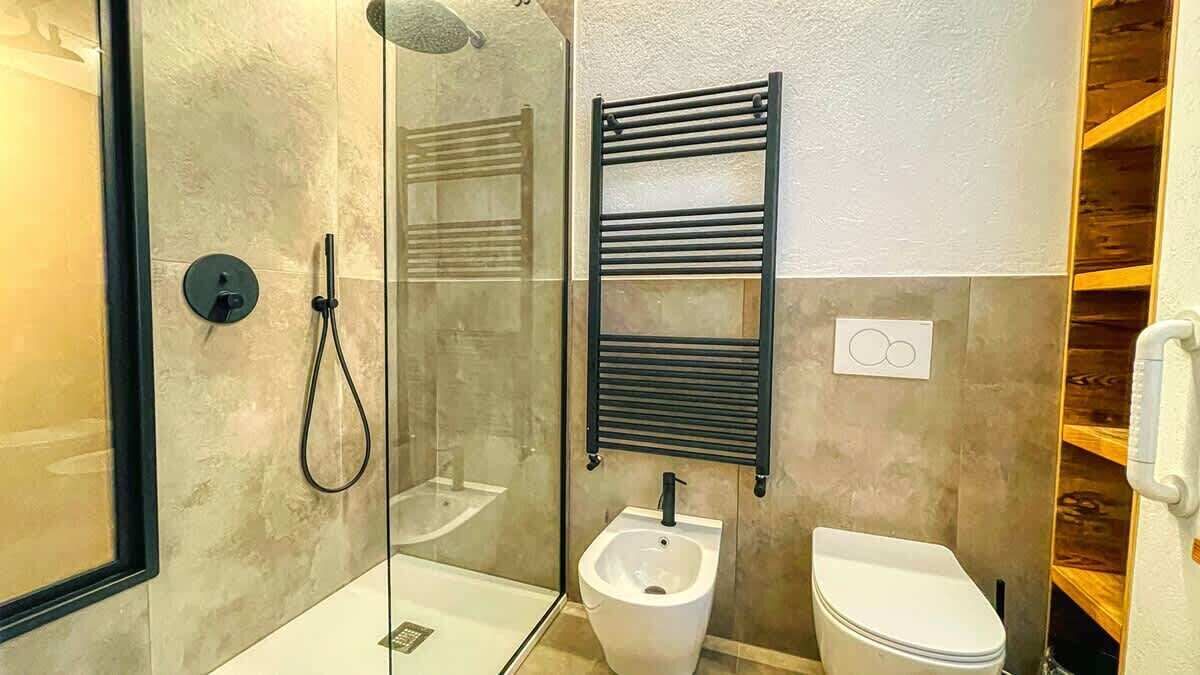 Shower, hair dryer, toilet paper