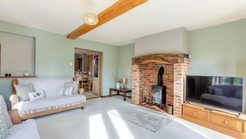TV, fireplace
