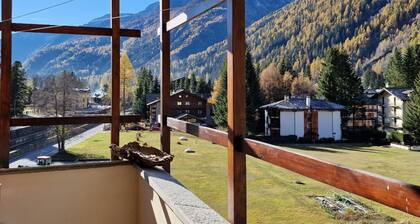 Renovated, bright apartment centrally located