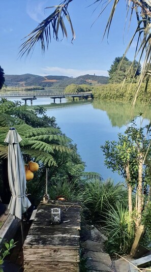 Property grounds - Pet friendly Luxury Accommodation with private Pool and Jetty (Mangonui)