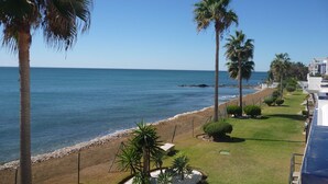 A beach view with palm trees, a clear sky, and a calm sea.