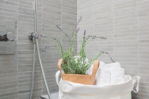 Shower, hair dryer, bidet, towels