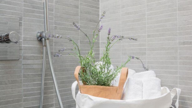 A bathroom with a shower, a towel rack, and a plant in a basket. - Apartments Florence - Beautiful Ronco Loft (Firenze)