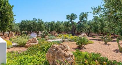TD Lamia Porta Rossa Countryside w Olive Trees