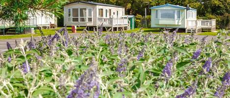 المنطقة المحيطة بالمنشأة