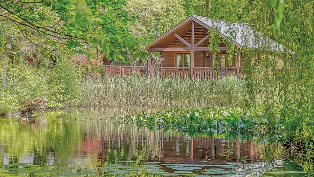 Une cabane en bois dotée d’un toit à pignon, entourée d’une végétation luxuriante et bordée d’une étendue d’eau couverte de nénuphars.