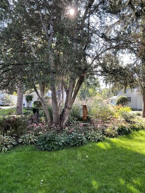 Property grounds - Historical Home in downtown Homer (Homer)