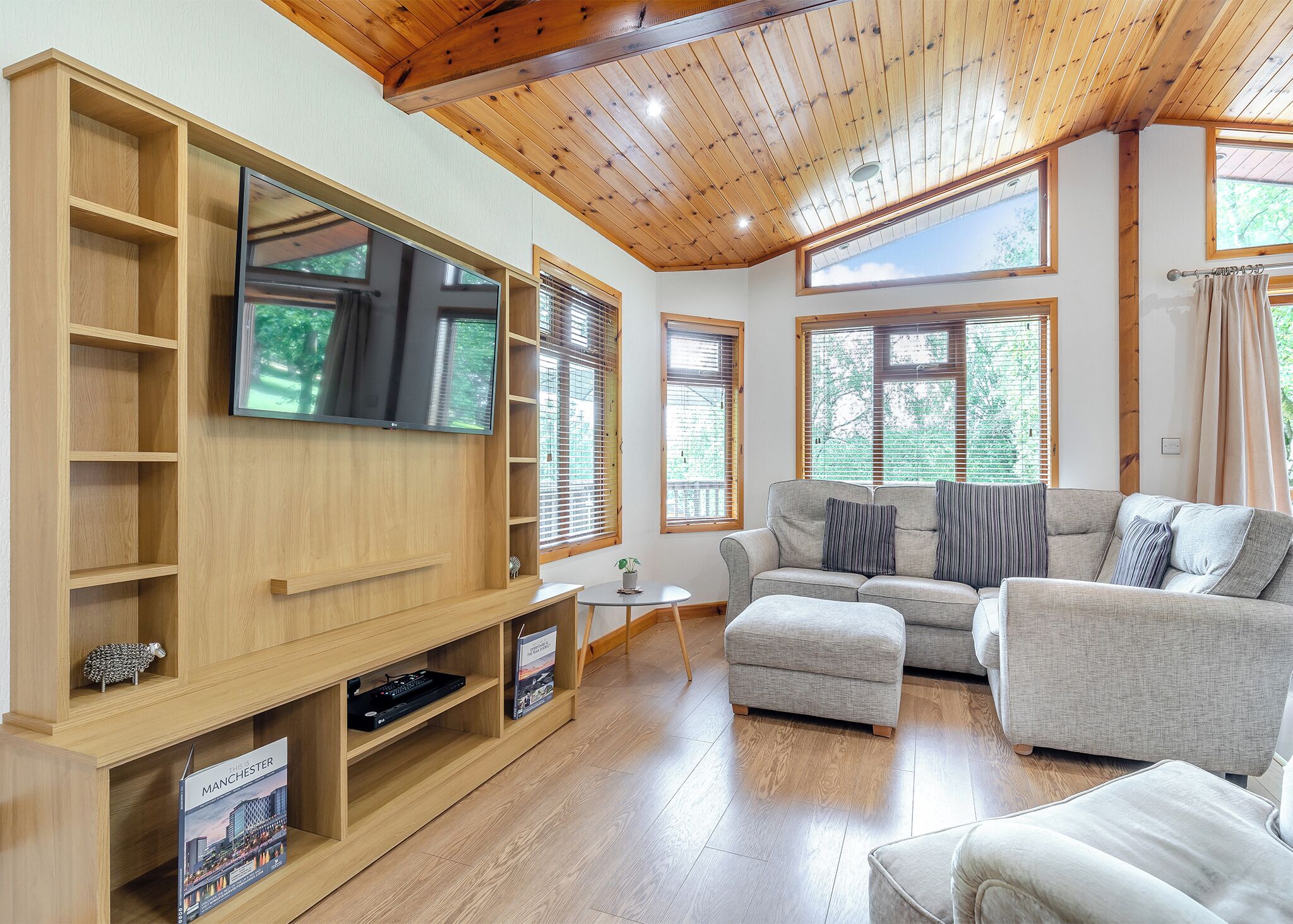 Flat-screen TV