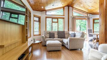 Télévision à écran plat