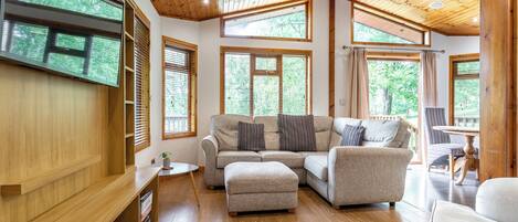 Televisor de pantalla plana