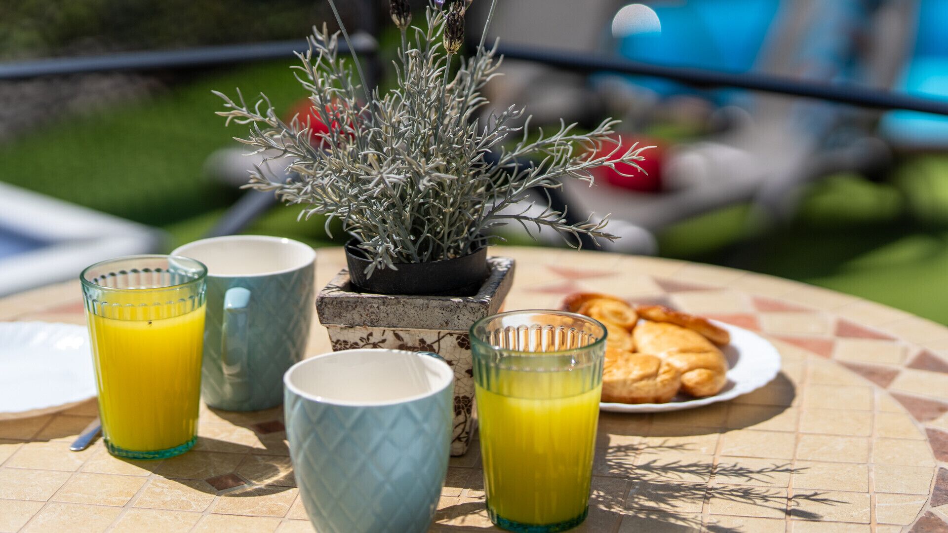 A table with a potted plant, two glasses of orange juice, a plate with pastries, and two cups.