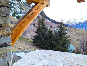 Property grounds - Mountain chalet rental ★★★★ "La Boutame" (Alpe d'Huez Domain 3300m) (Villard-Reculas)