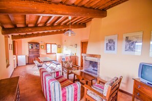 TV, fireplace, ping pong