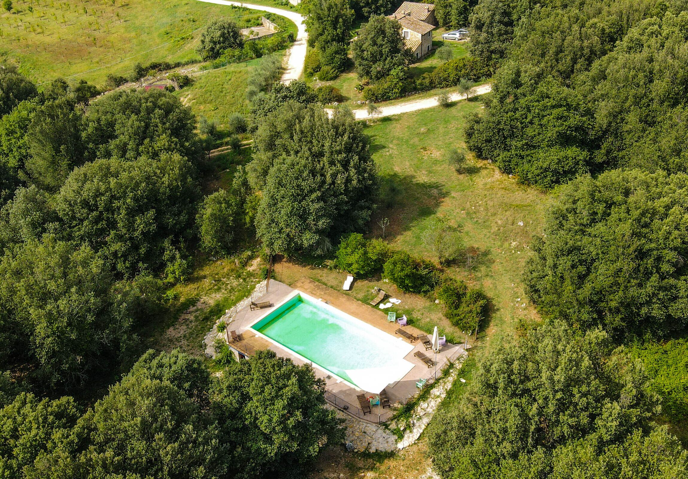 An aerial view of a property with a swimming pool surrounded by dense greenery, a paved driveway, and a few structures.