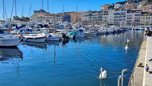 Un puerto deportivo con barcos amarrados, un paseo marítimo y edificios al fondo.