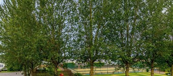 Platinum Elmhirst Apartment