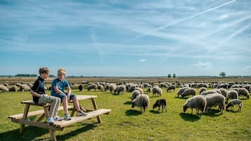 Áreas de la propiedad