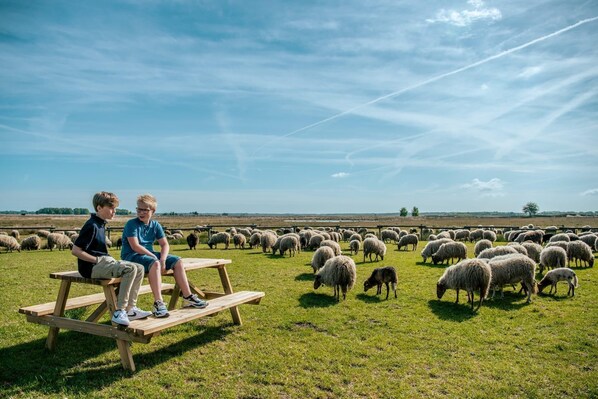 Overnatningsstedets område