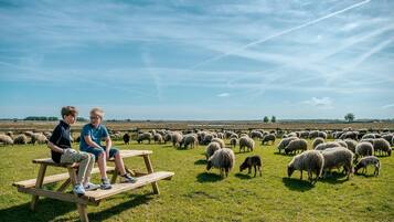 Terrein van de accommodatie
