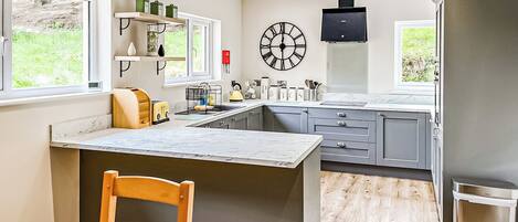 Fridge, oven, stovetop, toaster