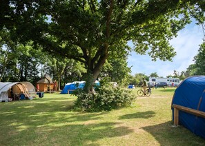 المنطقة المحيطة بالمنشأة