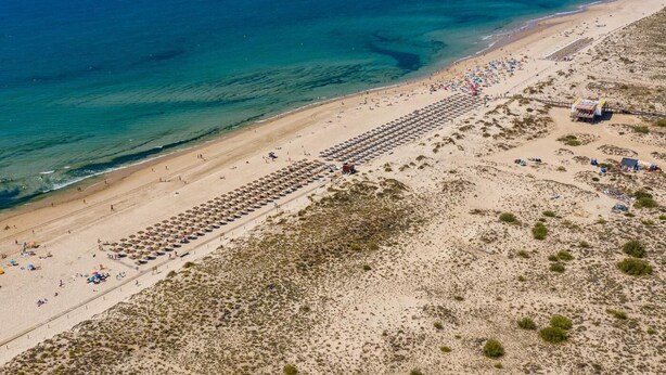 Eine Luftaufnahme eines Strandes mit Reihen von Liegestühlen und Sonnenschirmen, einem Sandstrand und dem Ozean im Hintergrund.