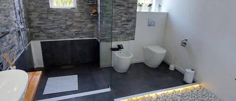 Shower, hair dryer, bidet, towels