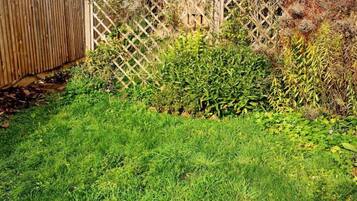 Àrea exterior de l'allotjament