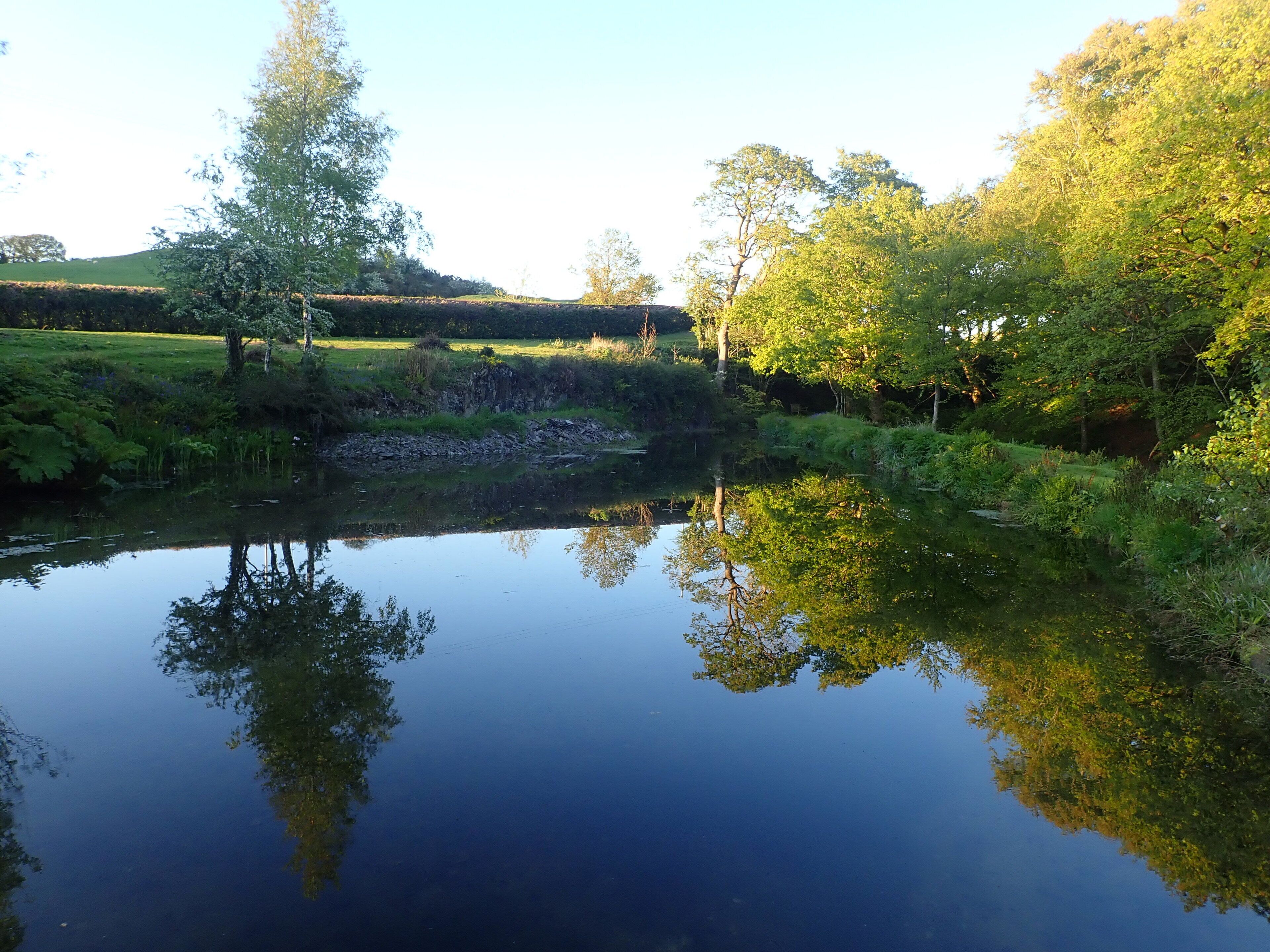 A calm river reflecting trees and a grassy landscape.